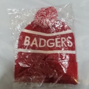 WISCONSIN BADGERS SKULL CAP